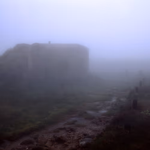 Item #30121090533068634730460792685537461567950127940617948076373458104659170295809 Media