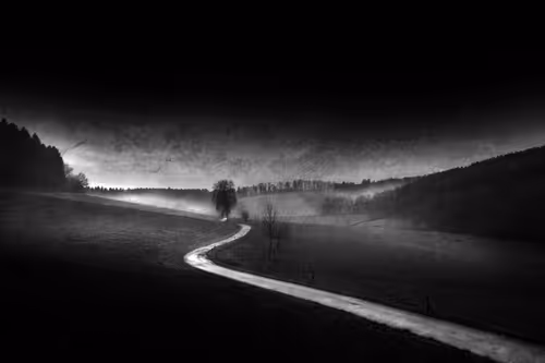 Item #40160686583094733528677484039903516258611509642019211679321071525439909920769 Media