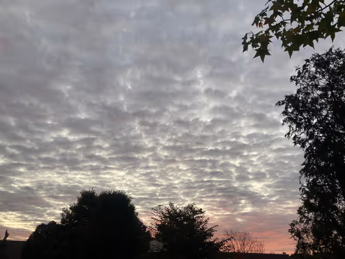 Item #112539480559386879026718304796177303960672733391150842661969334722565406457857 Media