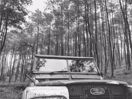 Item #82128306357763875677992979084533453962815137074133455862851432430813973577729 Media