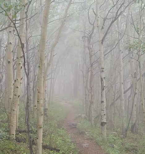life is a mysterious path