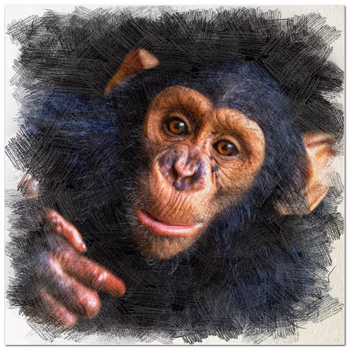 Item #38775667772334495200431258381610230883296000587885911426312875875879633289217 Media