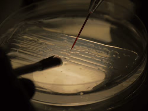 Item #105322358618701185533743754469895824107639028648078310589264470361936899342337 Media