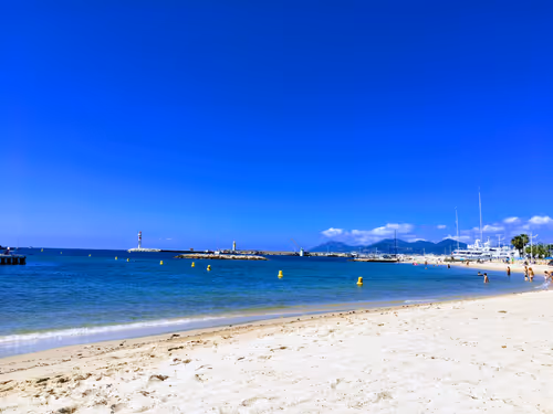 Item #92544727029022936134006141322345390231441210536975119082290419925427771408385 Media