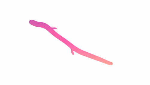 Item #17755440104982517953853418754656261360363945618725315047813017602248700592129 Media