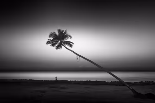 Item #108814857691029429230781820568210235490063919231059486623727012657474740158465 Media