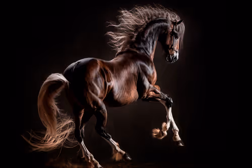 Item #29082809964077671479746814952421386145910700450503917223364975084118871113729 Media