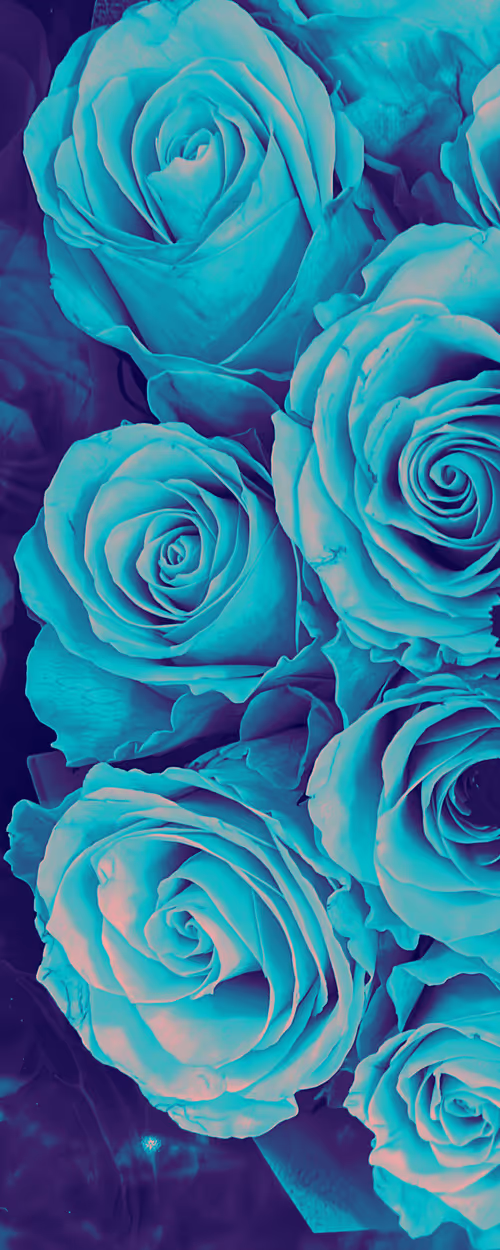 Item #87095977270227967051610380023375735428214688189489313843568760374680379981825 Media