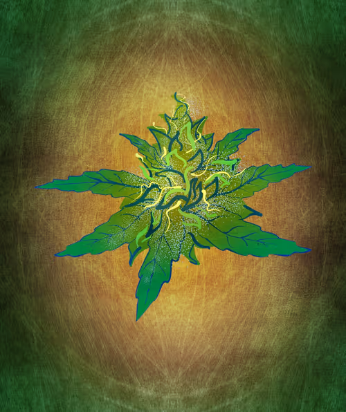 Item #88173920956366532206384104525204378846175092179682069740847406074934794911745 Media