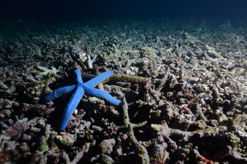 Item #19423020084367329247398987968940063498648581298497549755803292999169381236746 Media