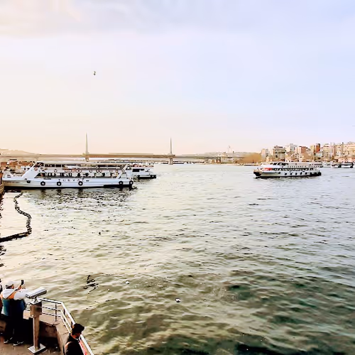 Untitled Collection #3689824745