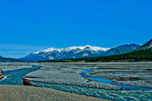 Item #888198070620530782295992843188489433267157345827485471243103221557948841985 Media