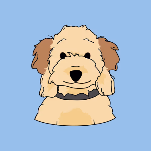 allstarweekend Collection