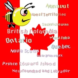 Bee Around The Universe #001