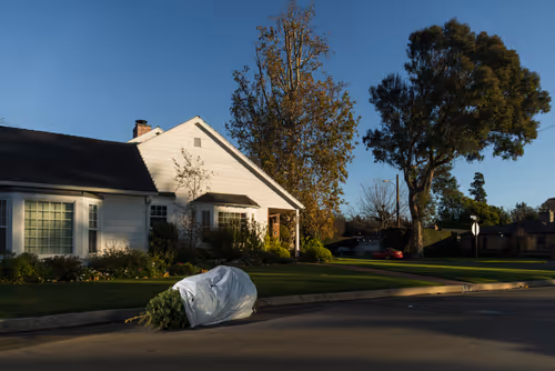 Item #97596376492587480991564299989885194485729582935183473269224319445436259631105 Media