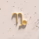 Zodiac Charms