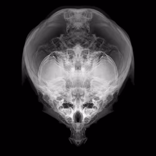 Item #85859191866638808365331437874953228966785819470149775310971061868435133693953 Media