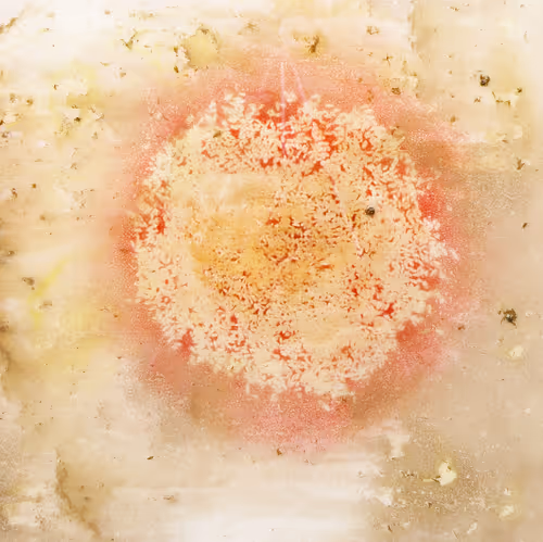 Item #111264774895172989553606282022194155892745764425417346937131400131143740162049 Media