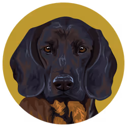 54766349128176429303044182404049584425310907481653304317570413957320611463169