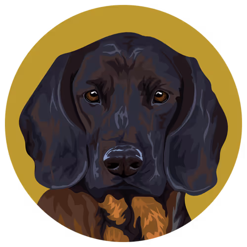 Item #54766349128176429303044182404049584425310907481653304317570413957320611463169 Media