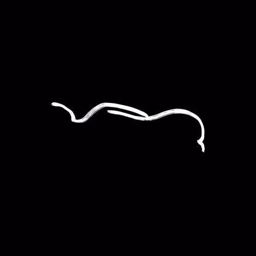 Item #88557894305917749802652520057953835064403668561306975644291801429150426726401 Media