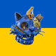 14340956495070452533448411743660034281365817504224433241868312991333101862913