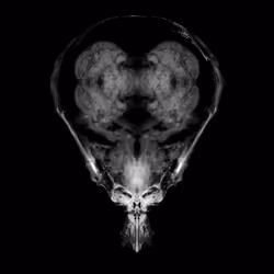 Alien Embryo - 189 of 2000