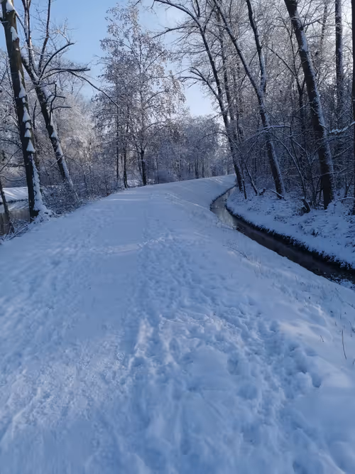 Item #14508414866529197908185537325928772997031149969639382043639160071065442451457 Media