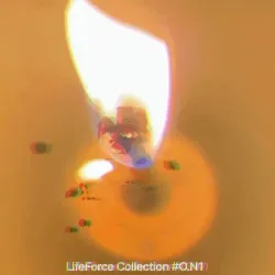 LifeForce #O.N1