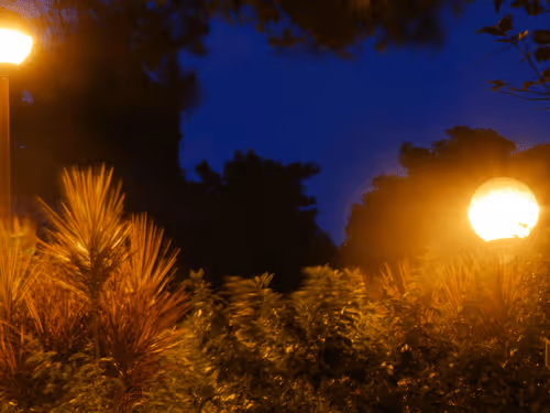 Item #50026192821252236501327529804501614579808517949817326421674249538619945517057 Media