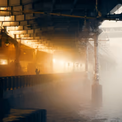 Fog season #025