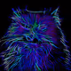 Angry Cat Collection