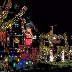 Lights In Darks