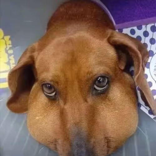 Untitled Collection #16222335