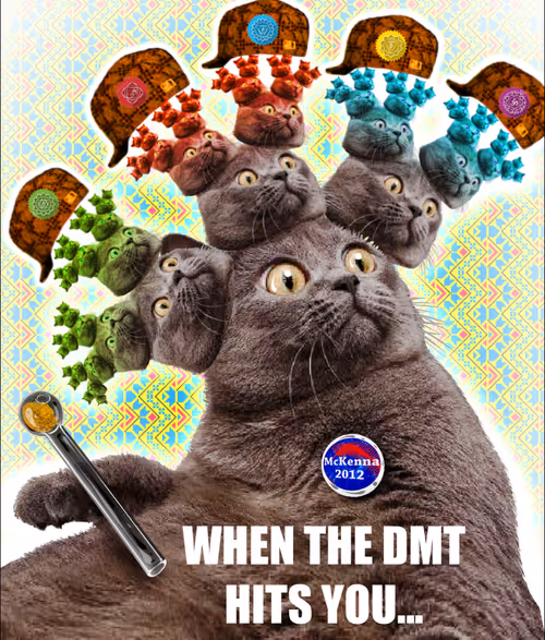 Item #114950609842410924185834847542981713903379795667932151051842929175521554071553 Media