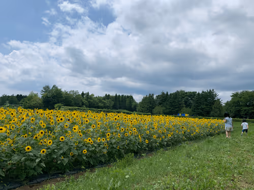 Untitled Collection #140627043