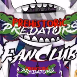 FC Creation's