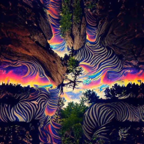 Item #105529151179328992176020612274764300618405715683864889347896515793031532642305 Media