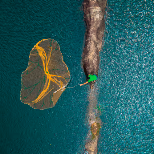 dronecatcherjusty Collection