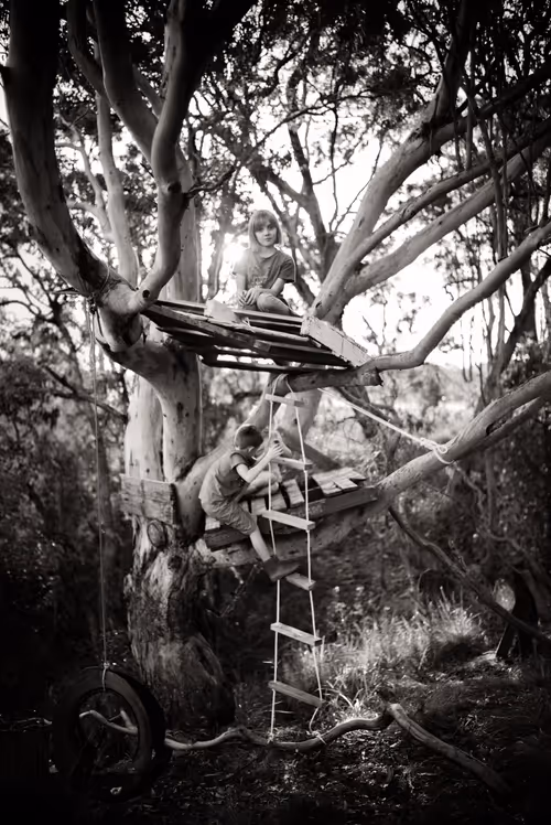 Item #107338736840495903892700830333162816701828415005499690242546380941794134196225 Media