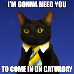 $CAT