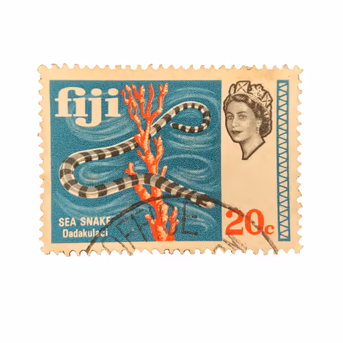 Item #73657231716097181370478076929276236332877121988757497801724203347822627520513 Media