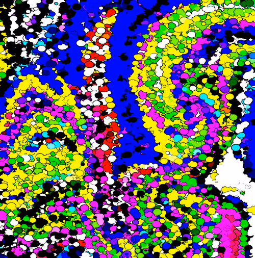 Item #115393517104113280871424152766474047841247353516515545263035209047787549229057 Media