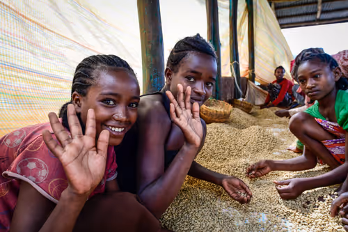 Item #50027882237522295676960542276708360859068113986169674979910833960281282969601 Media