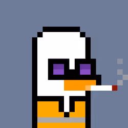 Duckie #2478