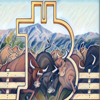 Item #13552082659672420672933880406335552073868328059294207198014511524137970696193 Media