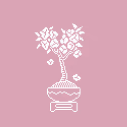 bonsai #6
