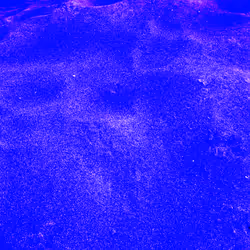 98843954857266856101330559780238873570552098425130206222908041884613891588097