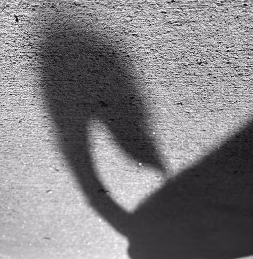 Item #56431751608181922231259635946092067407977788553703326303680802282163432062977 Media