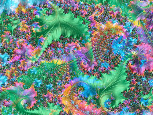 Froggy's Limited Editions